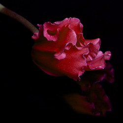 Similar image 22588909