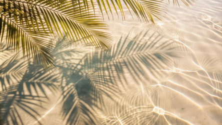 Similar image 22593519