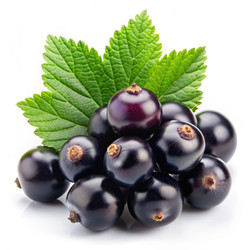 Similar image 22593549