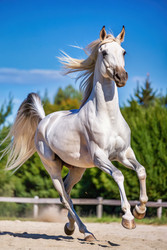 Similar image 22593623