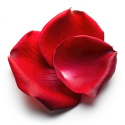 Similar image 22593638