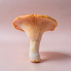 Similar image 22593973