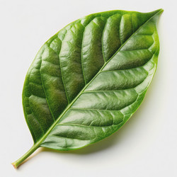 Similar image 22593986