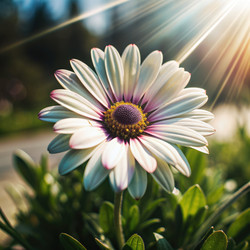 Similar image 22593116