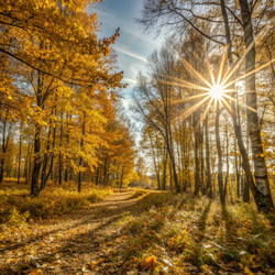 Similar image 22593473