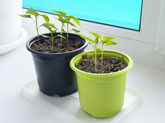 Similar image 22587380