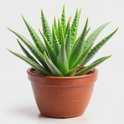 Similar image 22594016