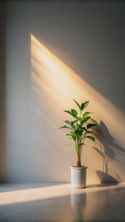 Similar image 22593457