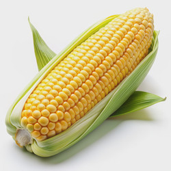 Similar image 22593482