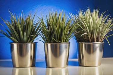 Similar image 22593741