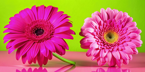 Similar image 22591790