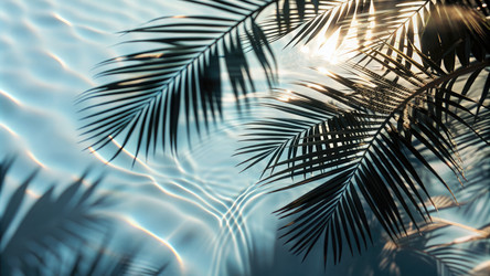 Similar image 22591881