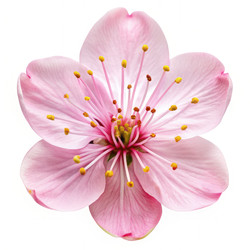 Similar image 22591972