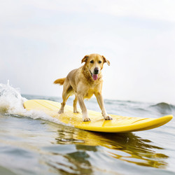 Similar image 22592420