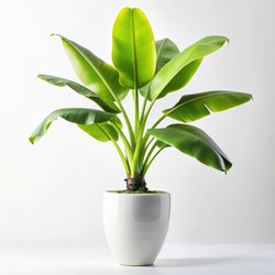 Similar image 22591899