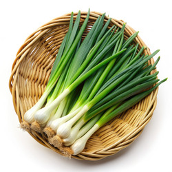 Similar image 22591900