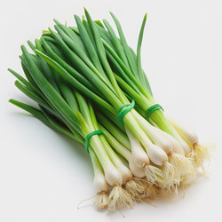 Similar image 22592185