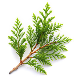 Similar image 22592319