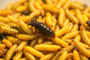 Similar image 22592350