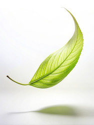 Similar image 22592607