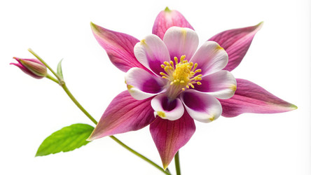 Similar image 22592694