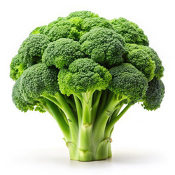 Similar image 22592739