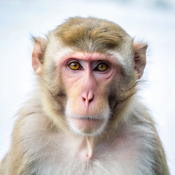 Similar image 22592785