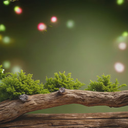 Similar image 22592231