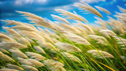 Similar image 22592368