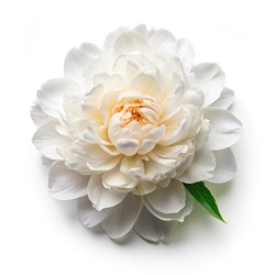 Similar image 22592532