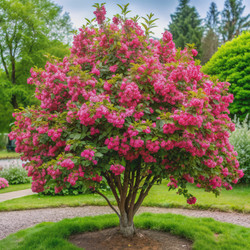 Similar image 22592801