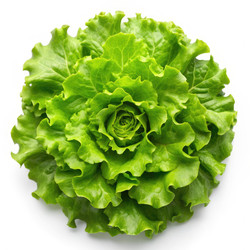 Similar image 22591830