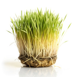 Similar image 22591875