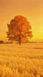 Similar image 22592296