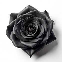 Similar image 22592339