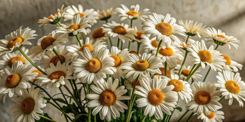 Similar image 22592732