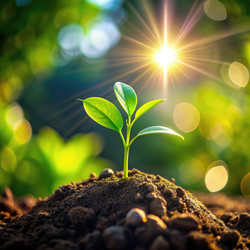 Similar image 22592822