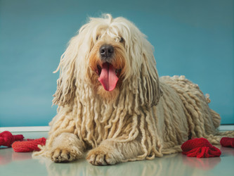 Similar image 22591847