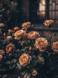 Similar image 22591984