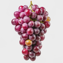 Similar image 22592132