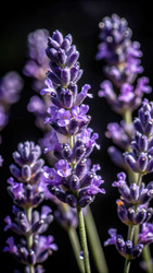 Similar image 22592178