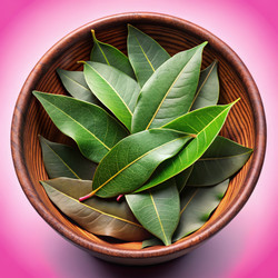 Similar image 22592524