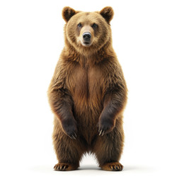 Similar image 22592554