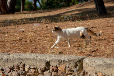 Similar image 22594791