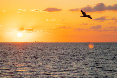 Similar image 22594793