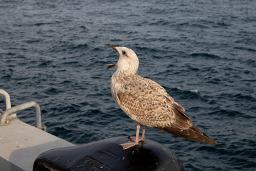 Similar image 22594795