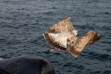 Similar image 22594796