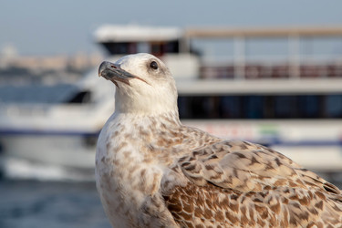 Similar image 22594055