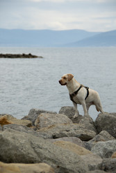 Similar image 22588145