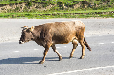 Similar image 22591432